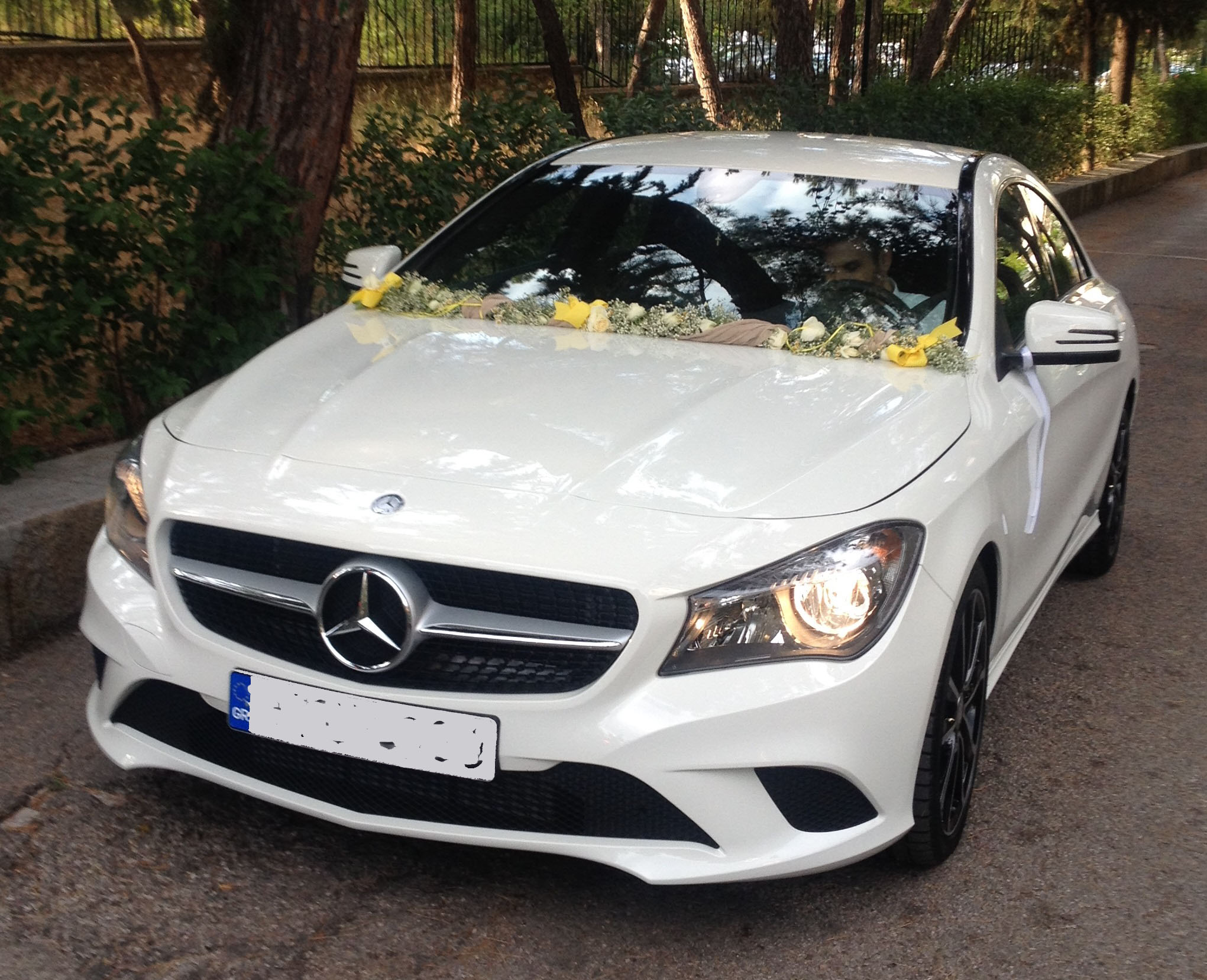 mercedes1